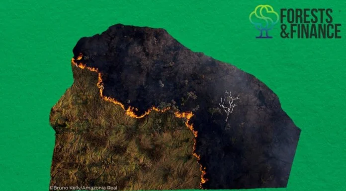 mapa brasil queimadas