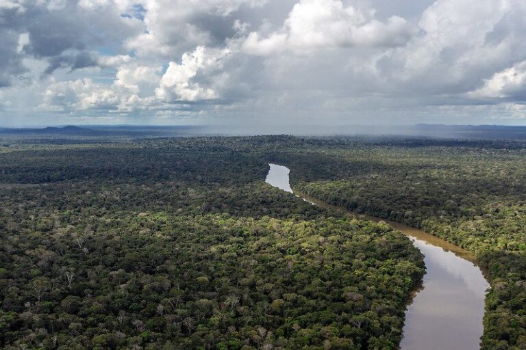 Pacto de Letícia Pela Amazônia: CIPÓ demanda maior transparência e inclusividade