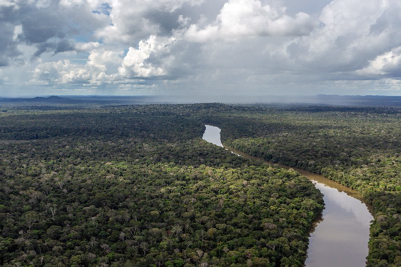 The Leticia Pact for the Amazon: CIPÓ calls for transparency and ...