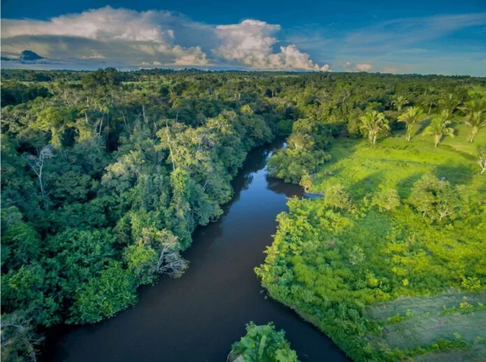 Amazonia