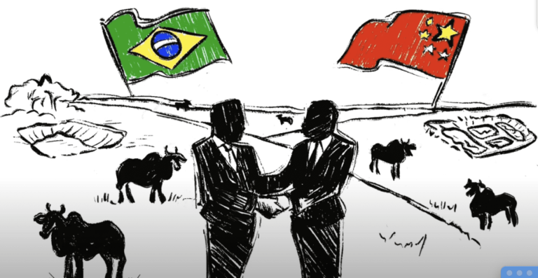 A China na Amazônia Brasileira – conexões entre aumento de exportação de commodities e desmatamento: novo Policy Brief da CIPÓ